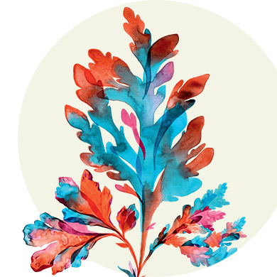 Tetraselmis Micro-Alga